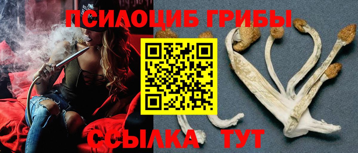 цена наркотик  Галлюциногенные грибы Psilocybe  Вход с VPN  Галлюциногенные грибы ЛСД  Ростов-на-Дону 